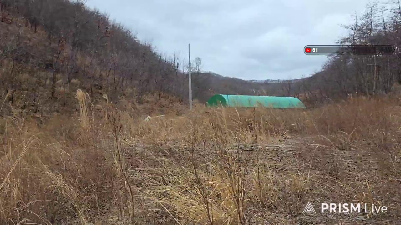 작지만 강하다/우리땅133평/나라땅260평/전기.지하수.차량진입/천만원 이짝저짝