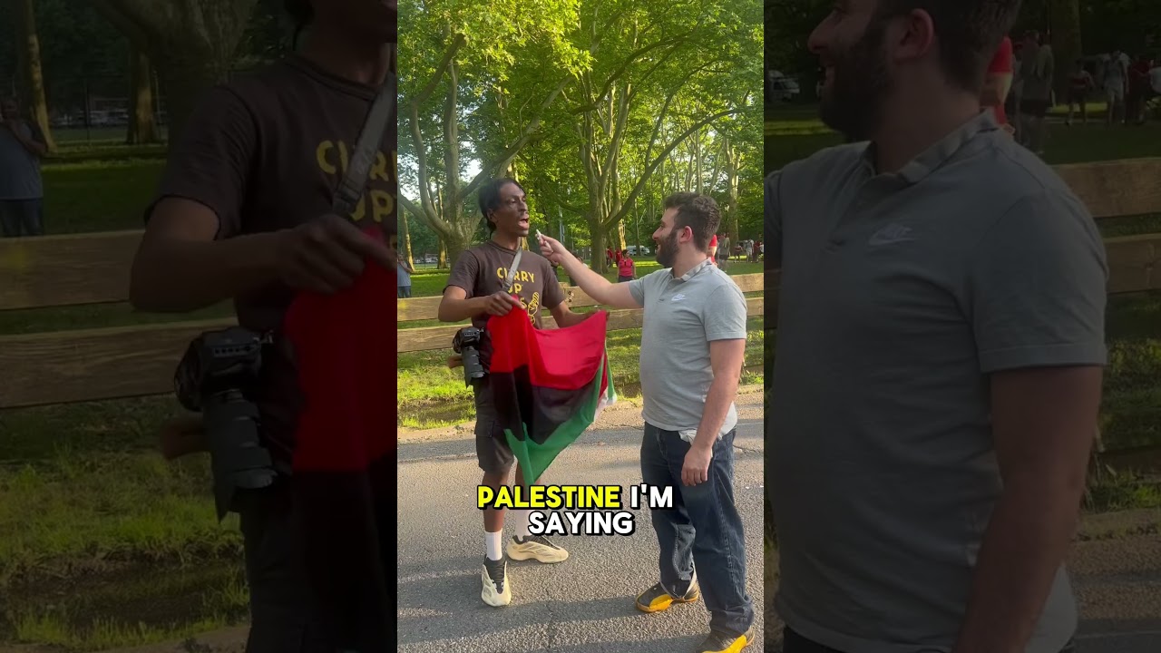 This is not a Palestinian flag this is a pan African flag #israel #palestine #funny #panafrican
