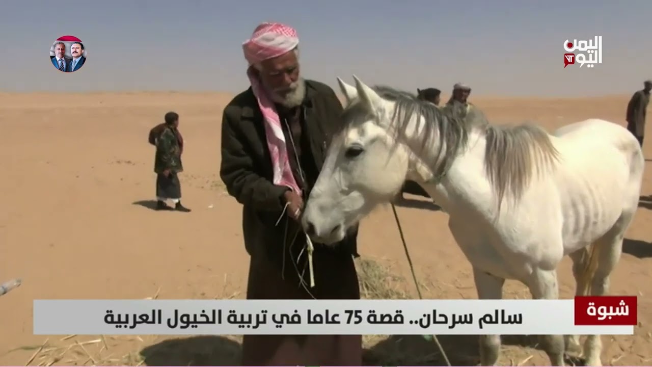 شبوة | سالم سرحان.. قصة 75 عاما في تربية الخيول العربية - تقرير: زبين عطية
