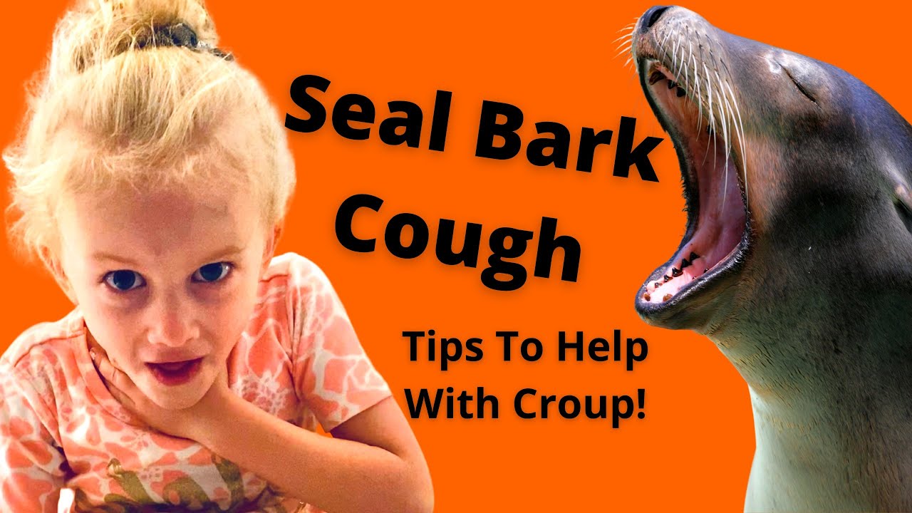 Is your child barking like a seal?  CROUP Diagnosis and Treatment