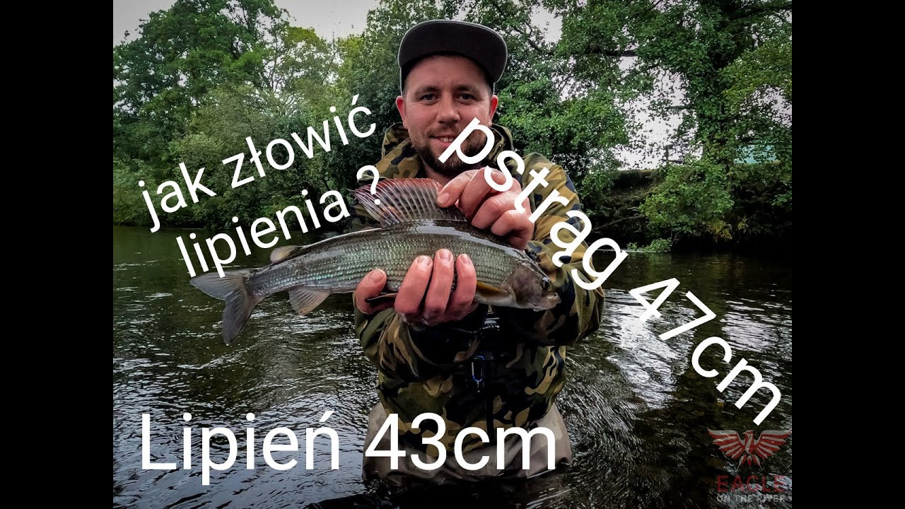 Jak złowić Lipienia/ Lipienie i Pstrągi na micro jigi/ Lipień 43cm, Pstrąg 47cm