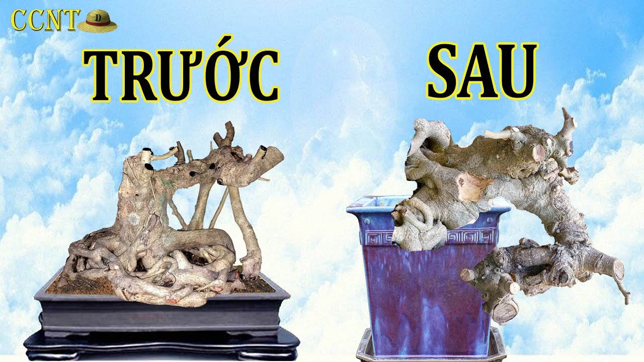 Pha Vật Dáng Đỉnh Cao Không Xem Quá Phí | Dũng Mũ Rơm
