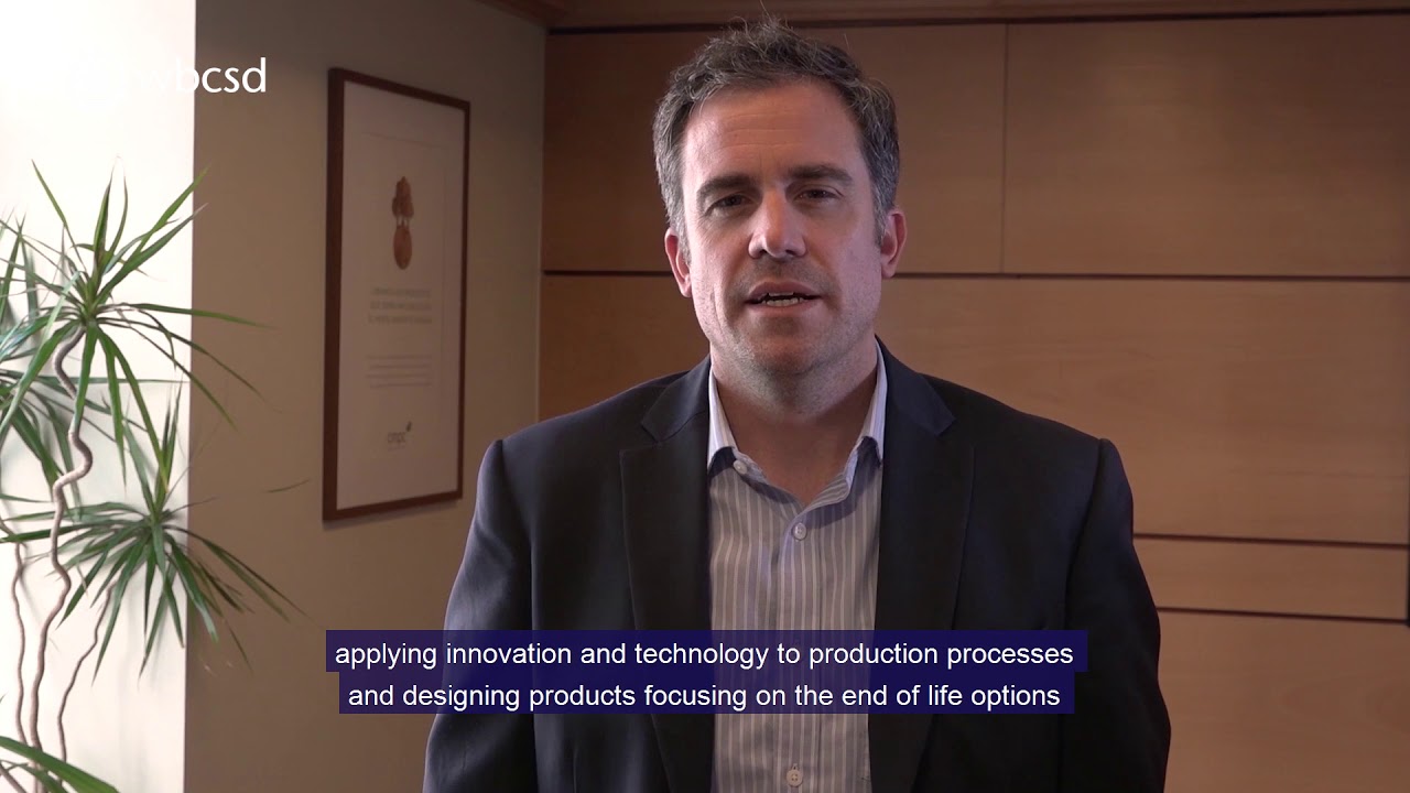 The Forest Sector SDG Roadmap and Circular economy