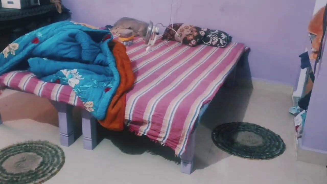 छोटा सा मिनी व्लॉग्स 💖 मेरा घर 😚🛖please subscribe my channel 🙏 #dreams #life #shortsvideo #youtube 