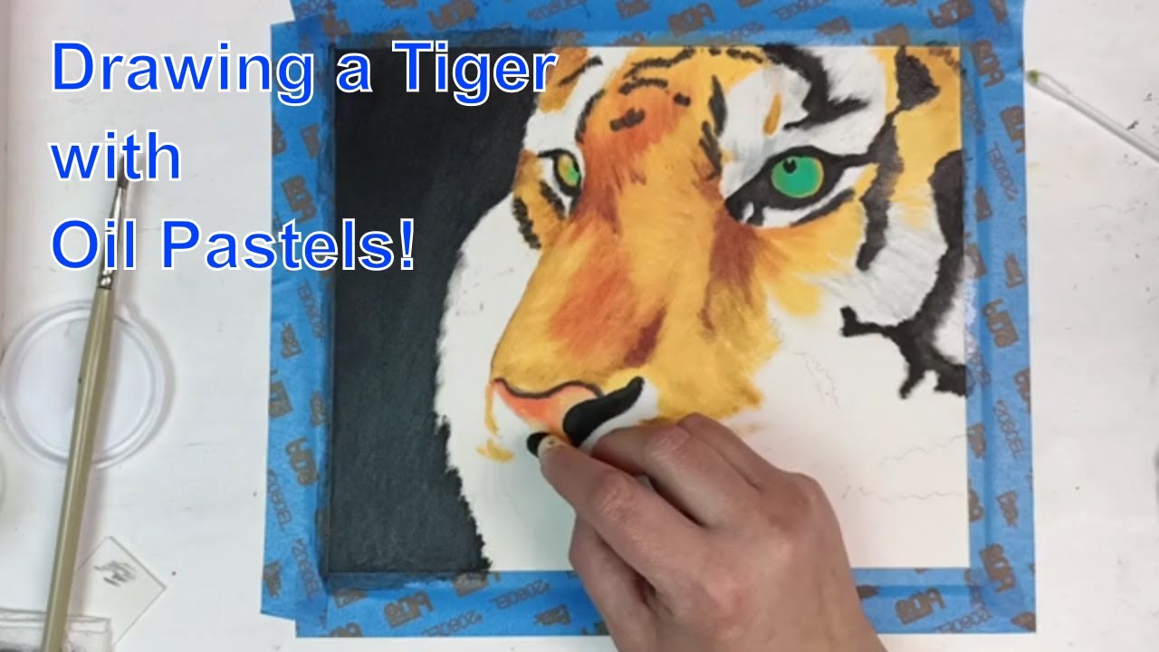 Drawing a Tiger with Sennelier Oil Pastels. Collaboration with Xargot Hunter.