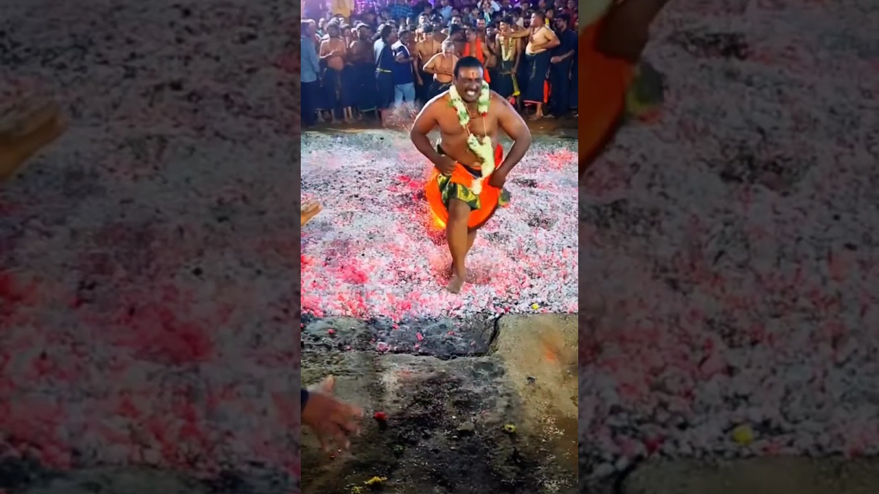 #swamiyesaranamayyappa #shabarimalai #tamil #kerala #ayyappa #viral #ayyappan #reels  #vmlucky312