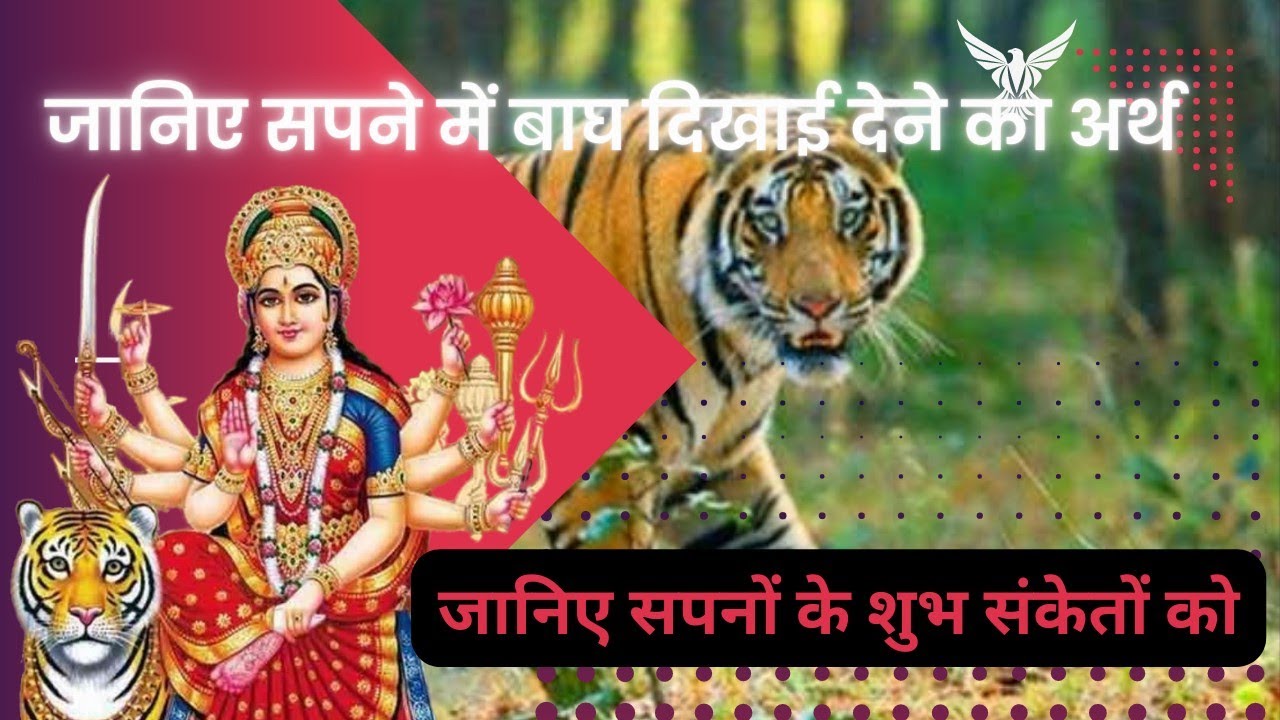 सपने में बाघ को दिखने के 6 शुभ लक्षणों को जानिए || जीवन में आने वाले 💰💰बदलावों को जाने