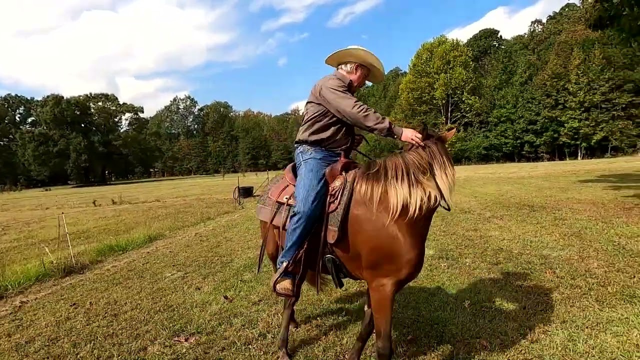 My Horse Will Not Stand Still When I Mount.