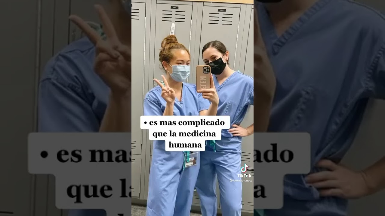 🐕&bull;Cosas que no sab&iacute;as sobre estudiar veterinaria&bull;🐕