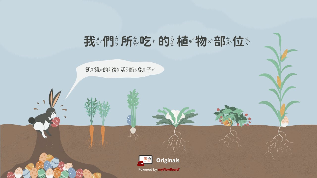 myViewBoard 原創內容：飢餓的復活節兔子🐰 – 認識我們所吃的植物部位