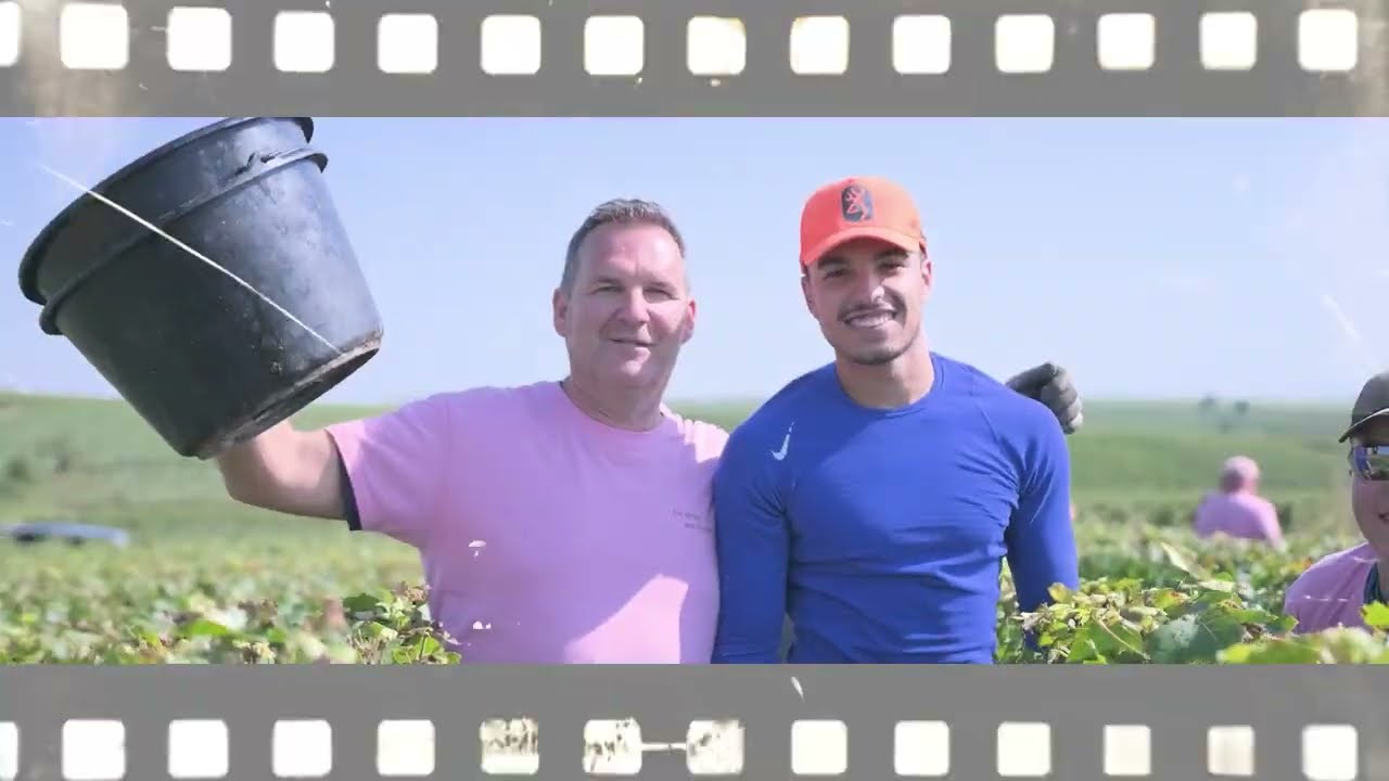 Vendanges 2024 - Champagne Beaufort 2024 Version extended