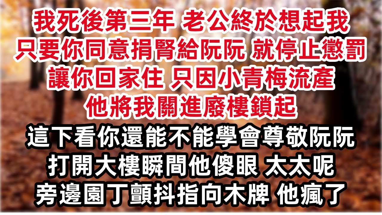 我死後第三年 老公終於想起我 只要你同意捐腎給阮阮 就停止懲罰 讓你回家住 只因小青梅流產 他將我關進廢樓鎖起 這下看你還能不能學會尊敬阮阮 打開大樓瞬間他傻眼 太太呢 旁邊園丁顫抖指向木牌 他瘋了