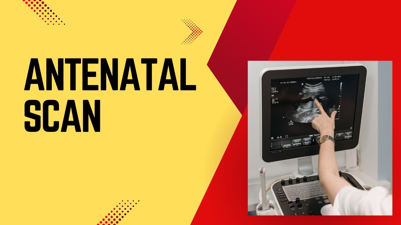 Antenatal Scan: Importance, Indications & Biophysical Profile | Prenatal Ultrasound Guide