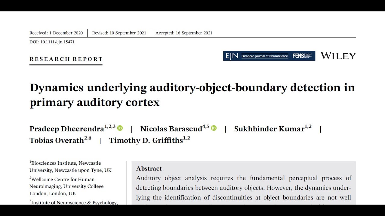Dynamics underlying auditory‐object‐boundary detection in primary auditory cortex