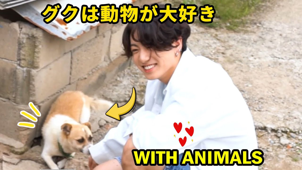 【BTS】ジョングクと動物かわいい瞬間