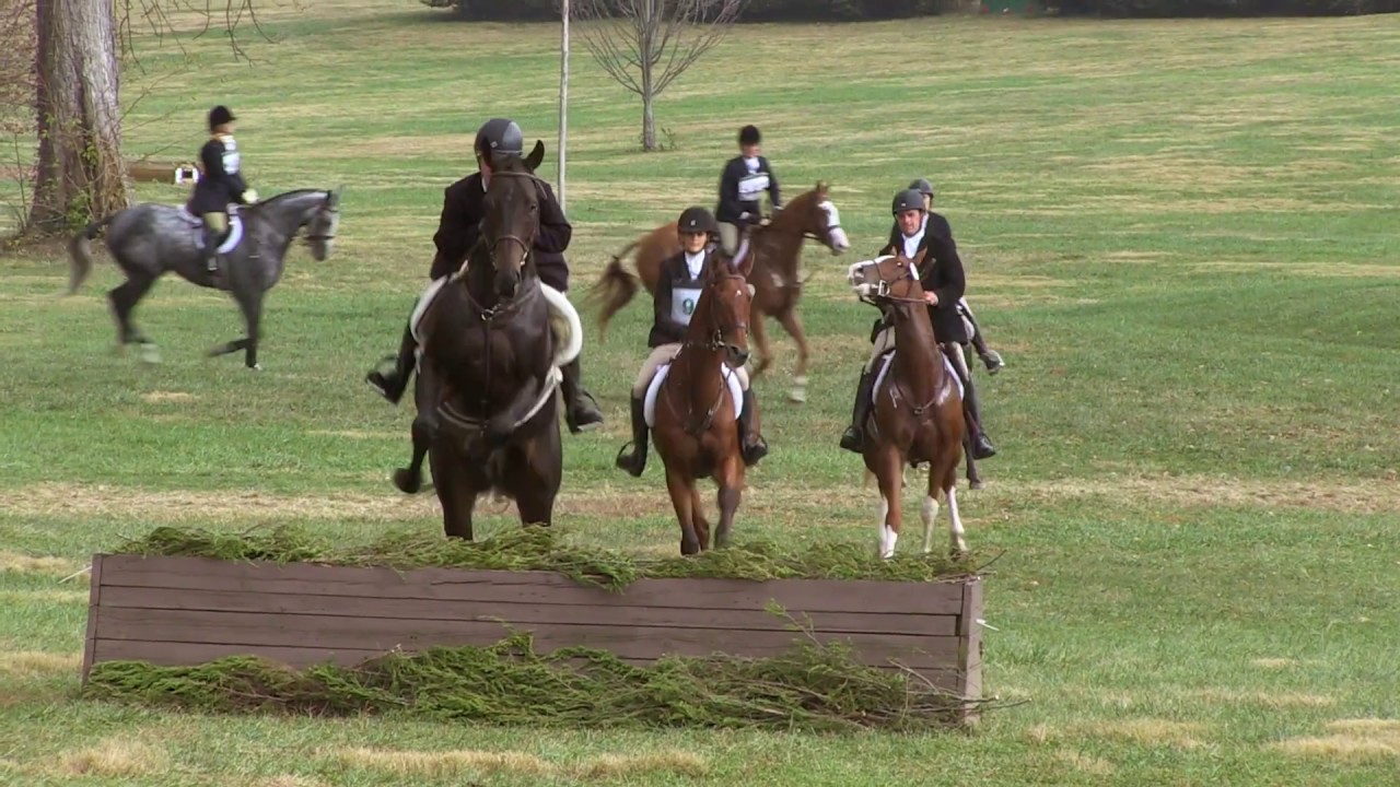 Retired Racehorse Project 2016 Thoroughbred Makeover