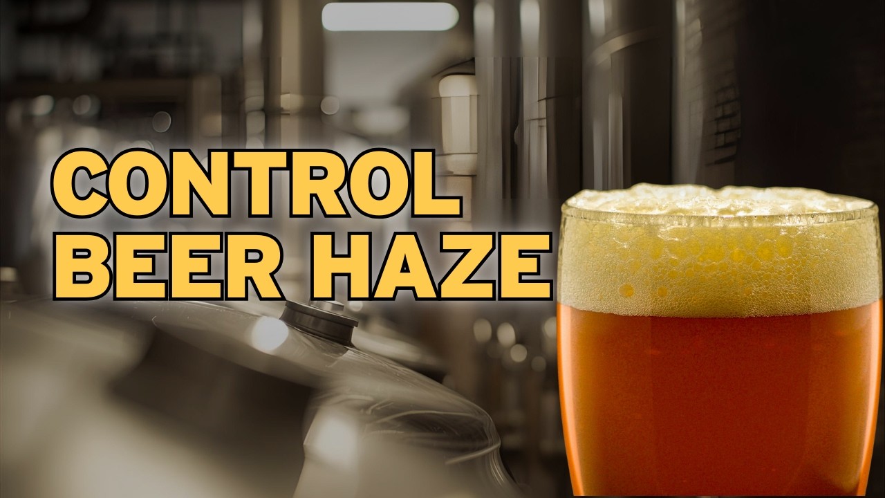 Beer Haze Control (Complete Guide)  | QFPB E012