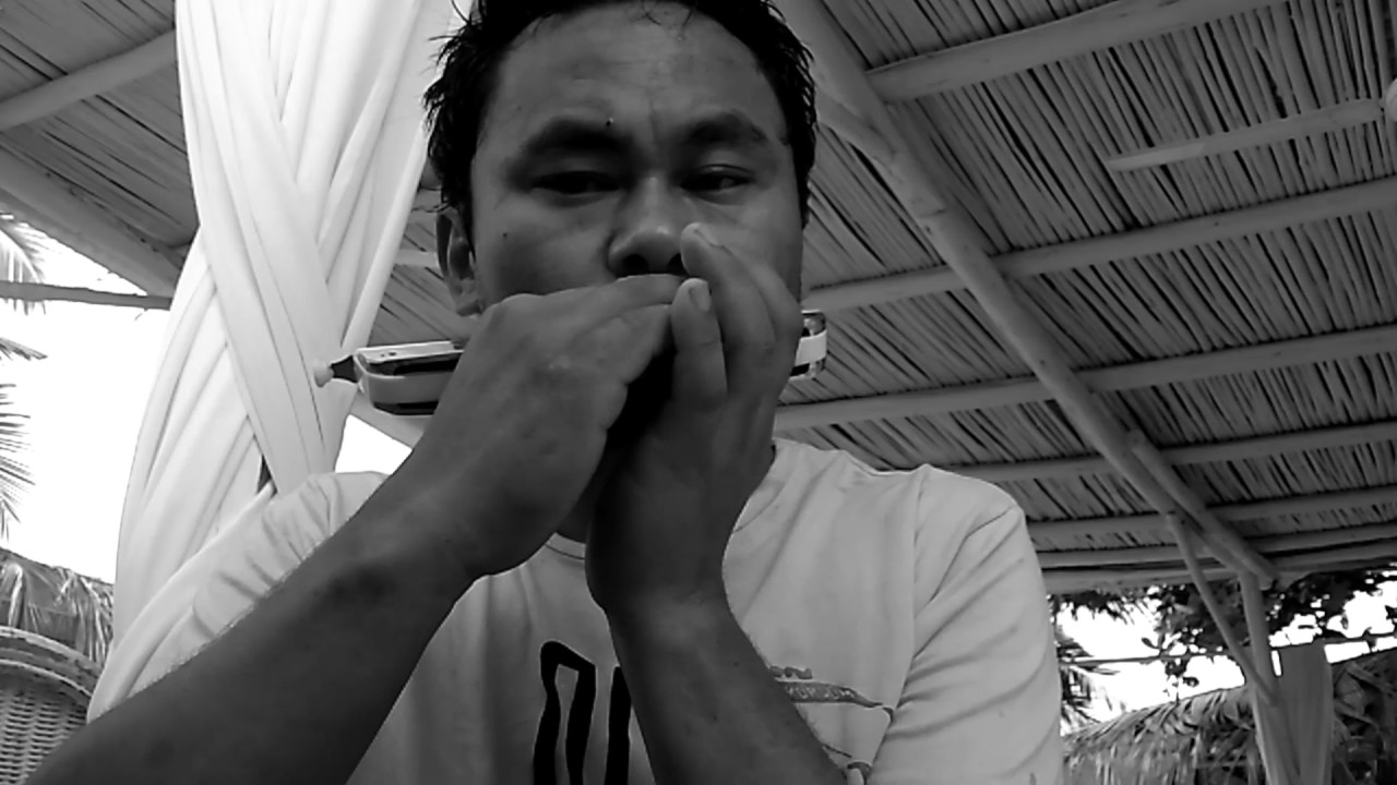 Hermonica Cover Ashim tamang