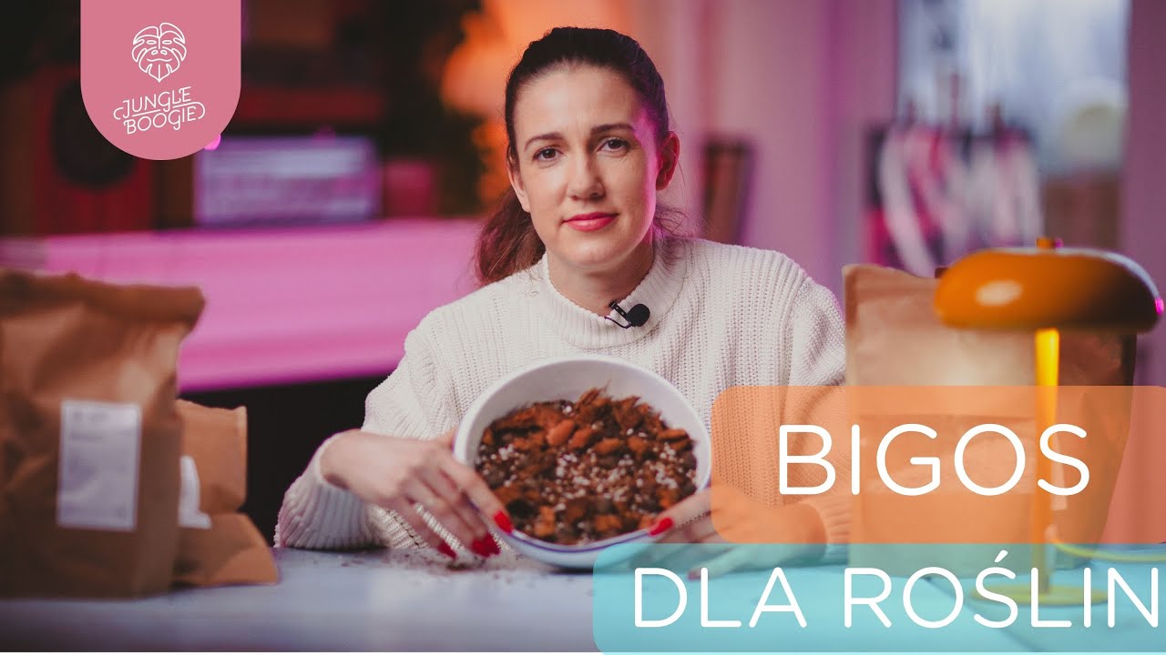 Co to jest bigos dla roślin?!? Jak przygotować podłoże do monstery i innych obrazkowatych.