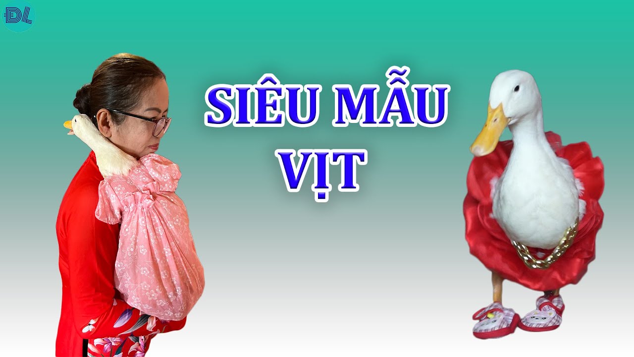 Vịt lên đồ như siêu mẫu, thích được hát ru, tối ngủ máy lạnh với chủ - ĐỘC LẠ BÌNH DƯƠNG