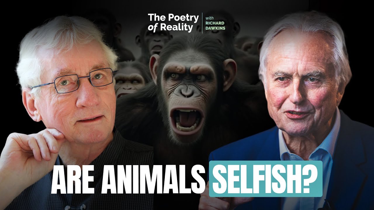 Do Primates Kill Each Other? Richard Dawkins talks to ethologist Frans de Waal