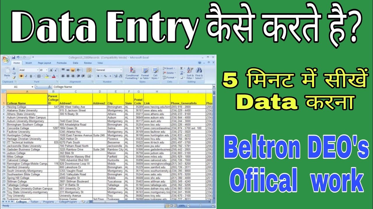 Data Entry करना सीखें||Beltron DEO's official work for DEO's students||Path study