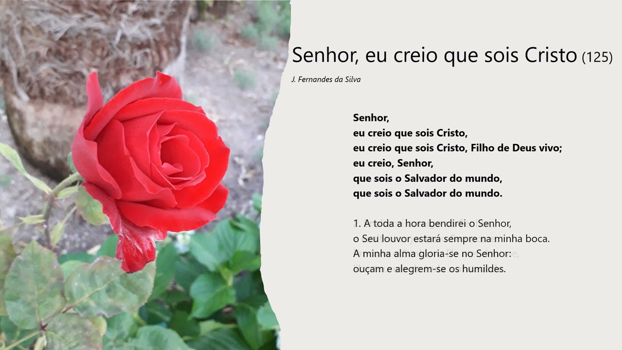 Senhor, eu creio que sois Cristo (125)