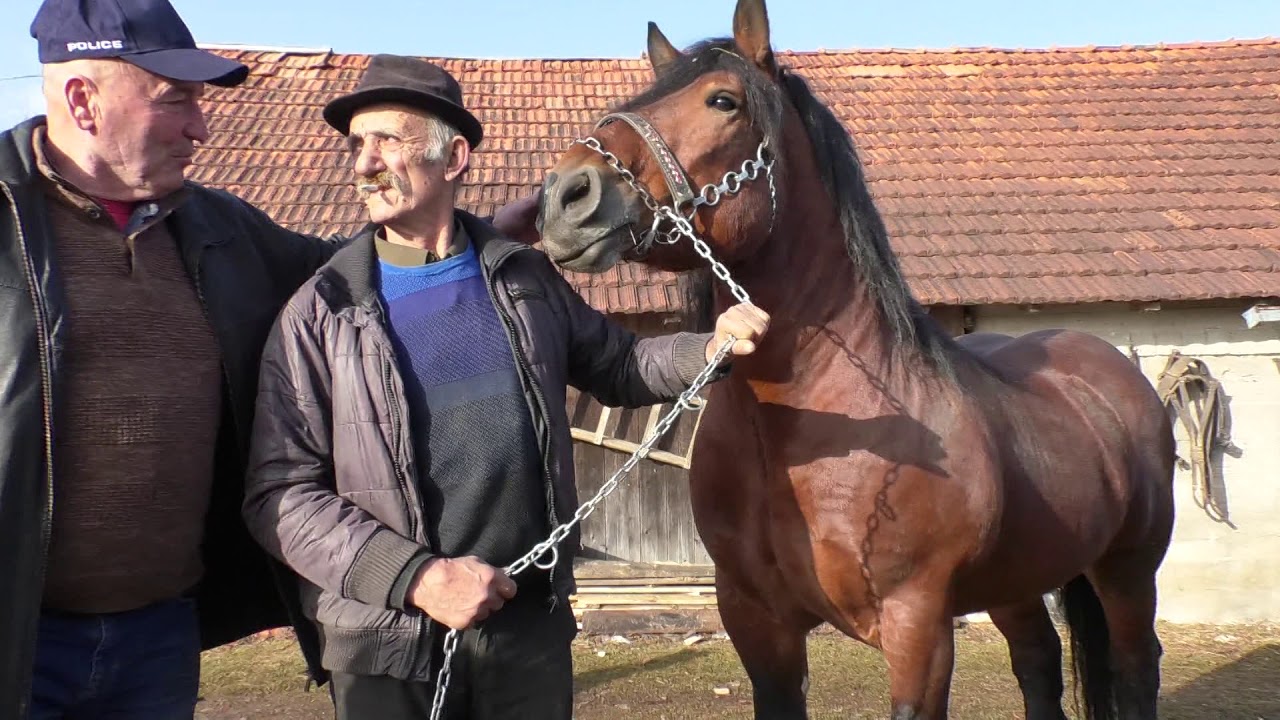 Najstariji &scaron;trapar u BiH - Mrkonjić Grad (BN TV 2020) HD