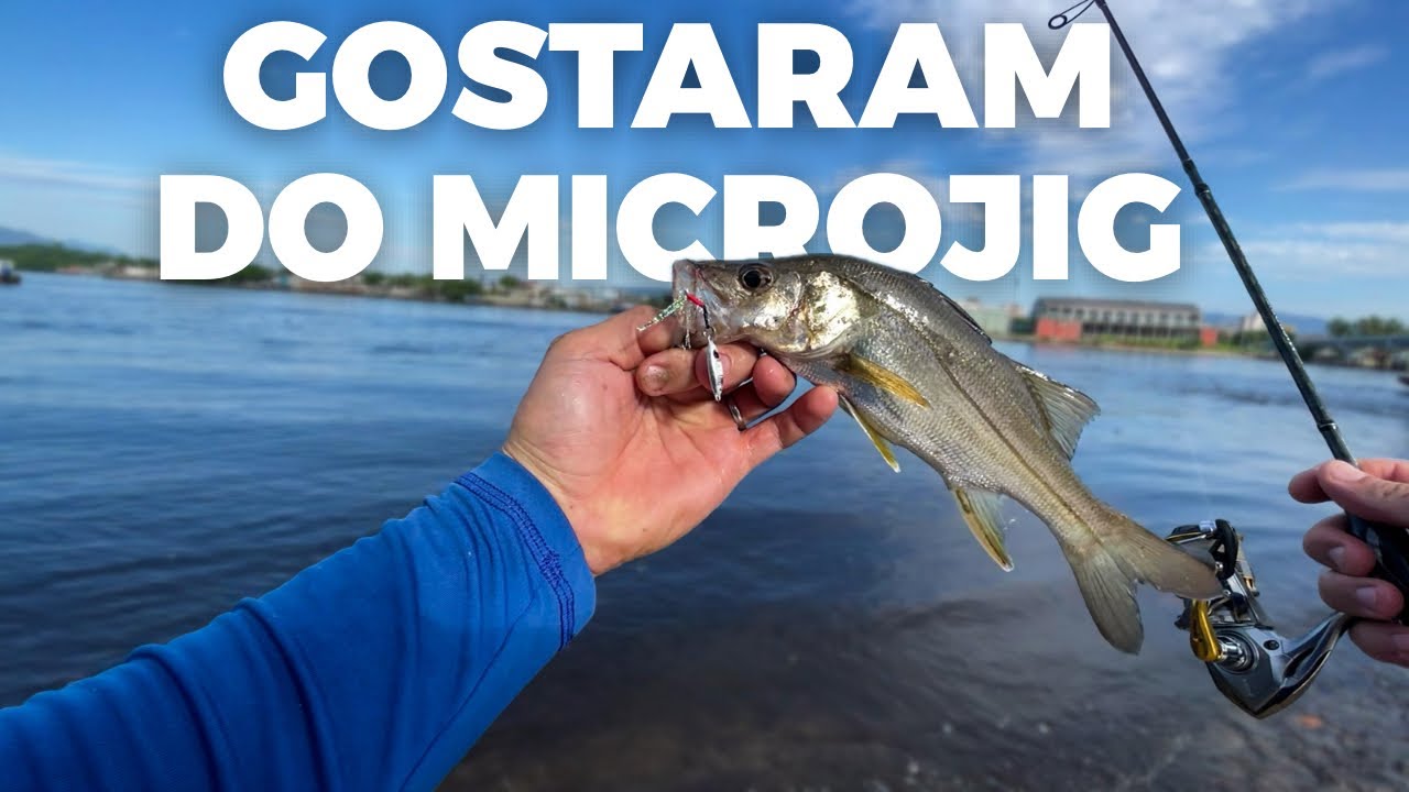 🎣 ROBALOS no MICRO JIG com equipamento de AJING🐡