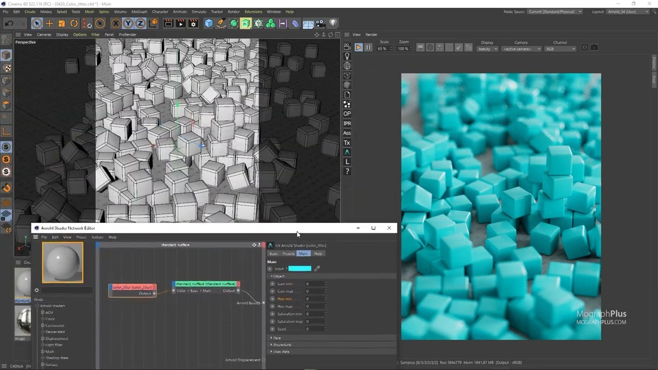 45  Color Jitter