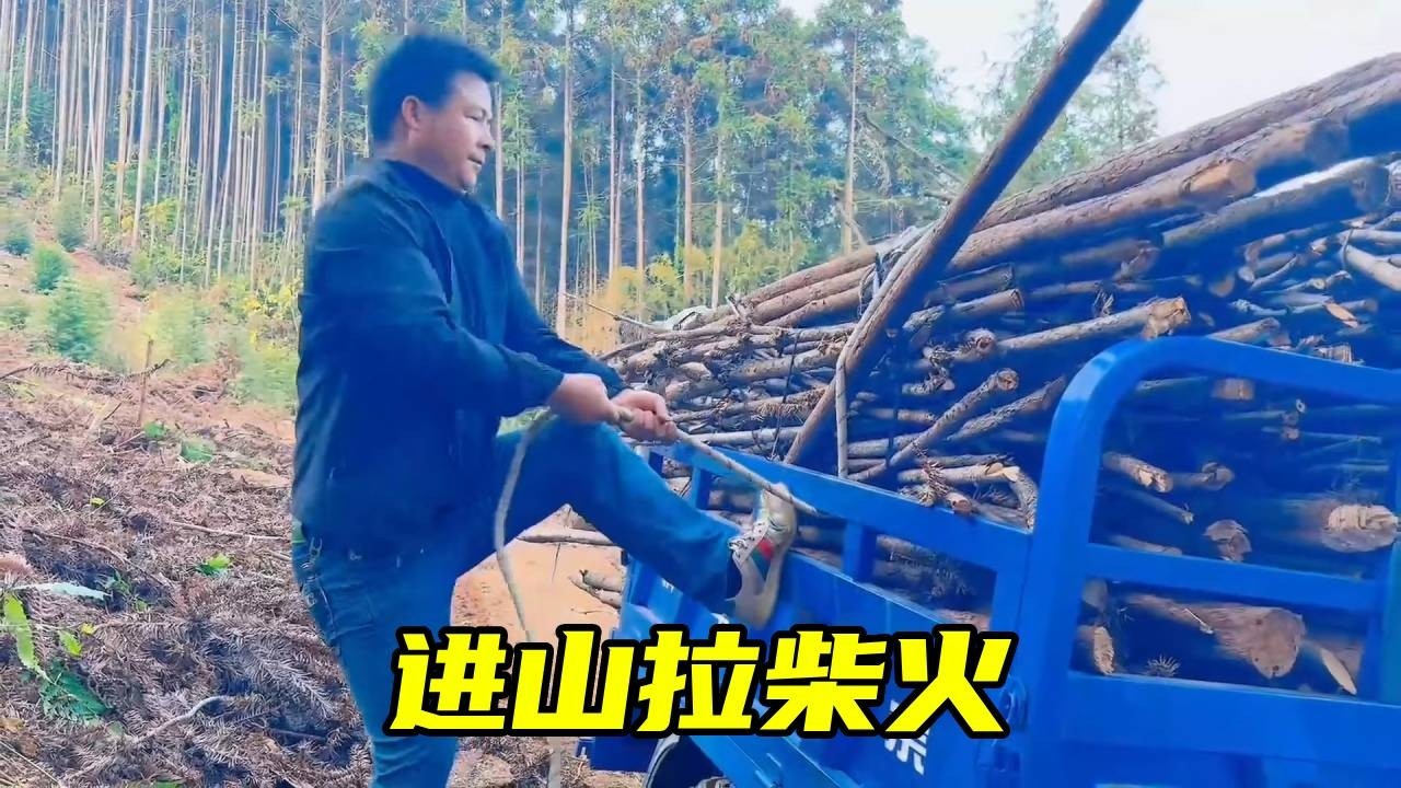 老妈闲不住，砍了满院子的柴，今天又进山拉了一车