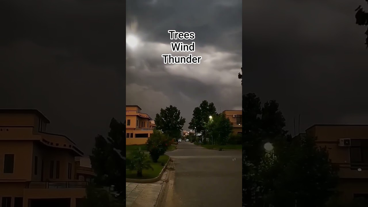 “Hawa ki raftaar, pedon ki sarsarahat, aur bijli ki kadak — nature ka raw mood ⚡🌿”...