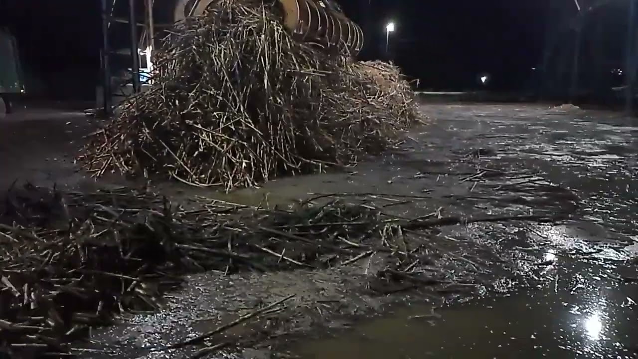 CANAL CICERO PRANCHETA DIRETO DÁ USINA SANTA CLOTILDE RIO LARGO AL 13 02 26 👏