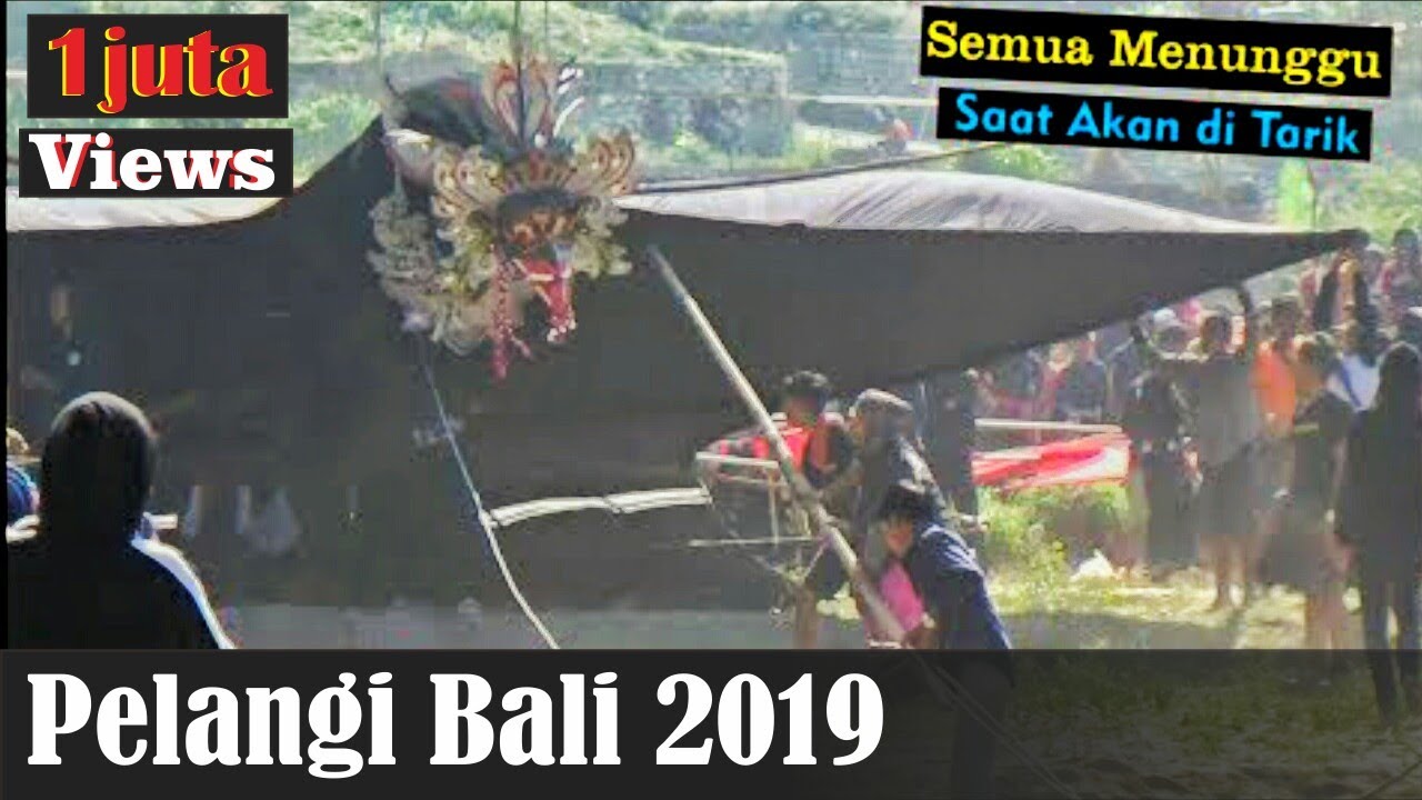 PELANGI BALI 2019 - ini yang di Tunggu tunggu Saat Akan Mengudara - Janggan Buntut Super Besar