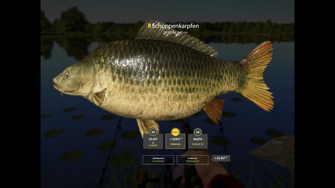 20 Kg Schuppenkarpfen Trophy Bernsteinsee Russian Fishing 4 2021 04 08 14 29 45
