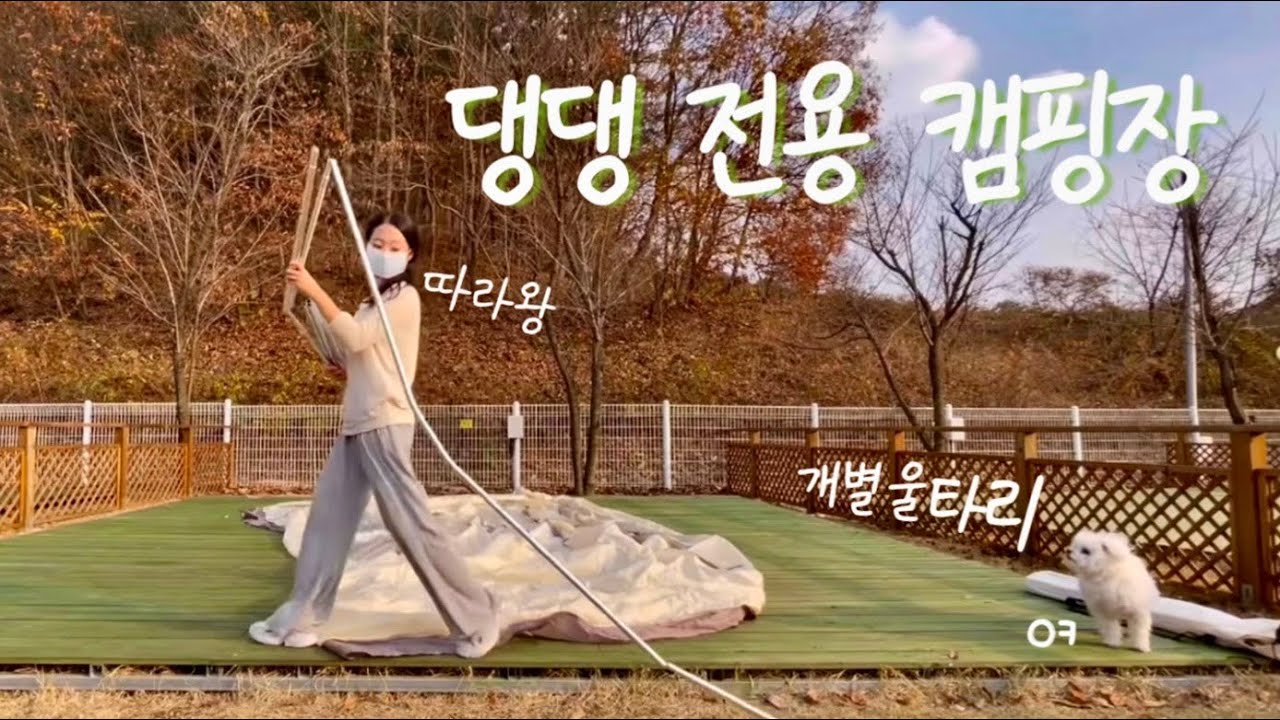 [솔로캠핑] 🐶반려견 전용 캠핑장에 다녀왔슴당 | 제드 와일드돔ex | 애견동반캠핑 | 충남 예산 피플앤독힐링캠핑장