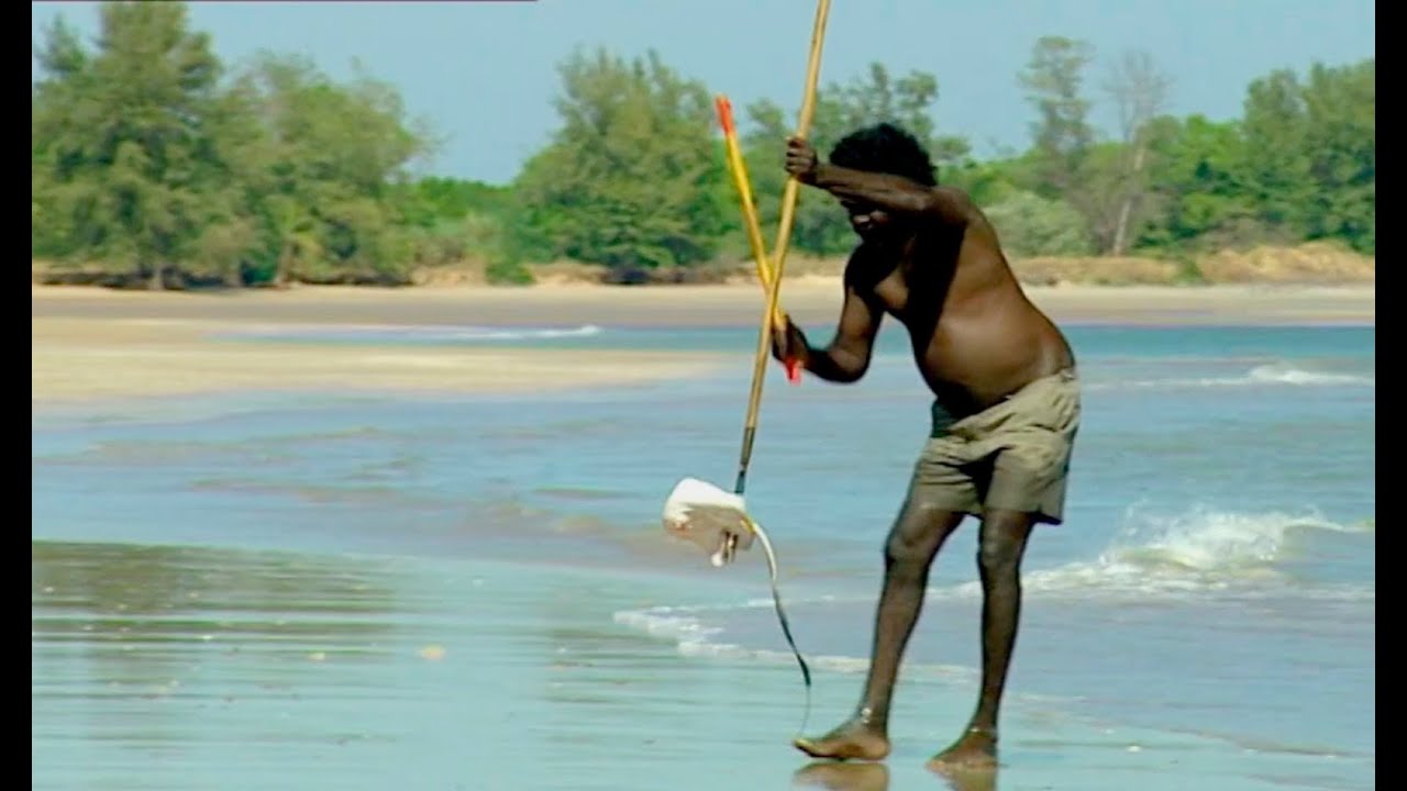 Fishing stingrays