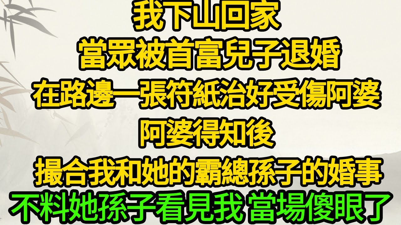 我下山回家 當眾被首富兒子退婚，在路邊一張符紙治好受傷阿婆，阿婆得知後 撮合我和她的霸總孫子的婚事，不料她孫子看見我 當場傻眼了