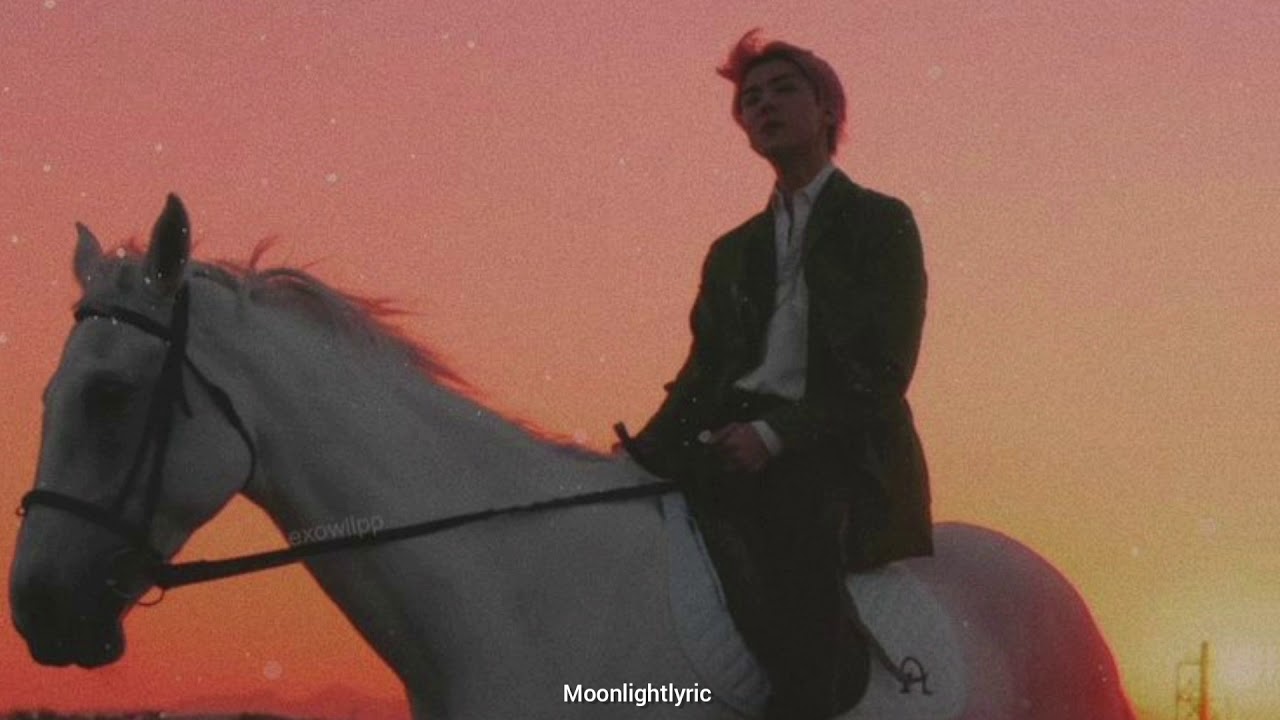 EXO - Electric Kiss (Türkçe Çeviri)