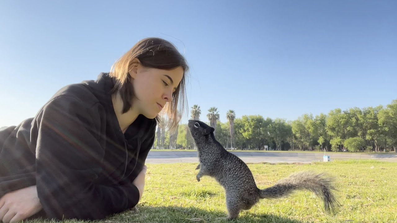 Mexican squirrel wants to kiss me! 🇲🇽 Parque Tangamanga. San Luis Potosi, Mexico