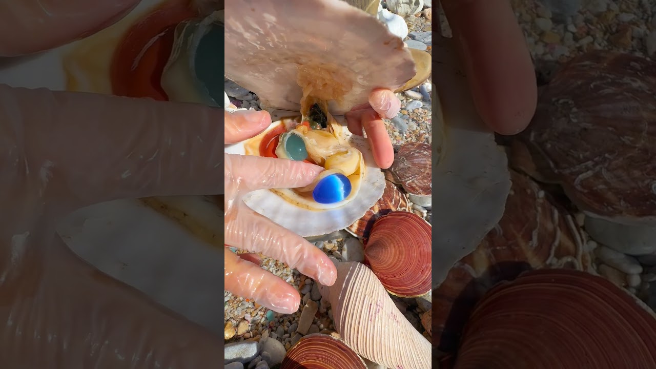 Морской агат и морской кристалл: поиск скрытых сокровищ на берегу и редкого жемчуга.