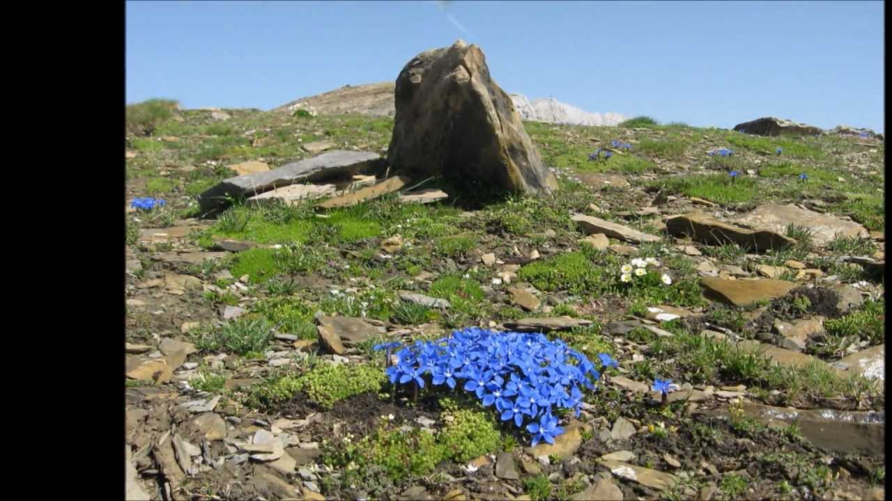 Von der Calandahütte auf den wunderbaren Calanda              ///             9./ 10. Juli 2012