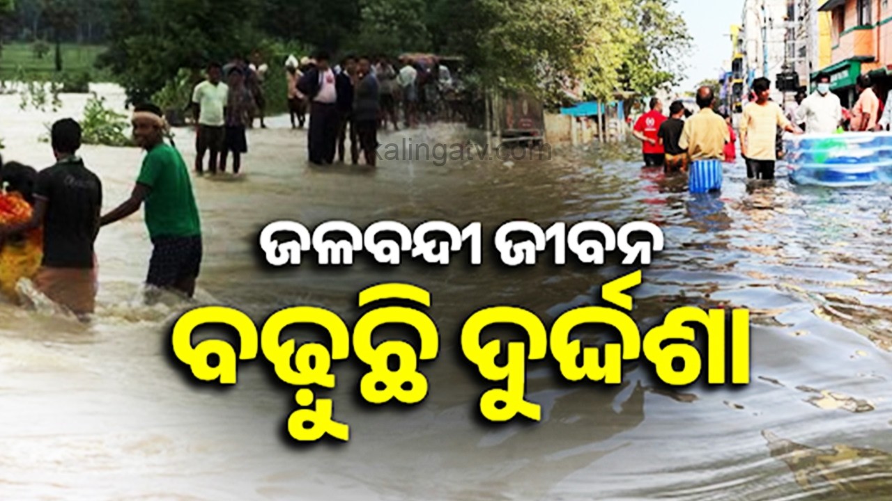 Floodwaters Inundate Several Panchayats in Bhadrak's Basudevpur, Residents Suffer || Kalinga TV