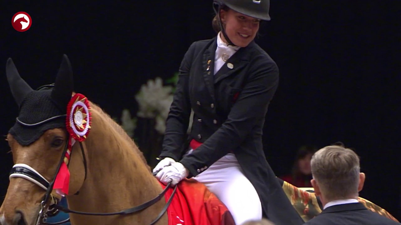 Danish Warmblood Stallion Show - Dressage