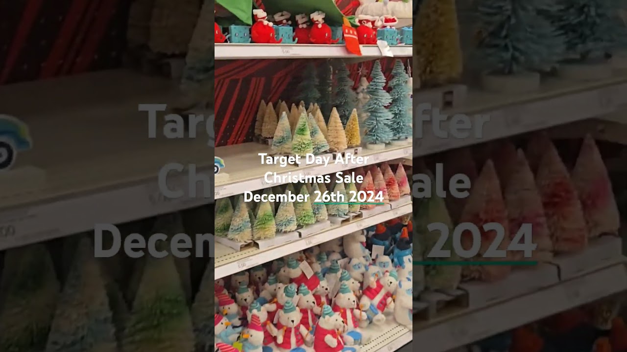 Target After Christmas Sale December 26th 2024 4:30PM (Westminster, California)