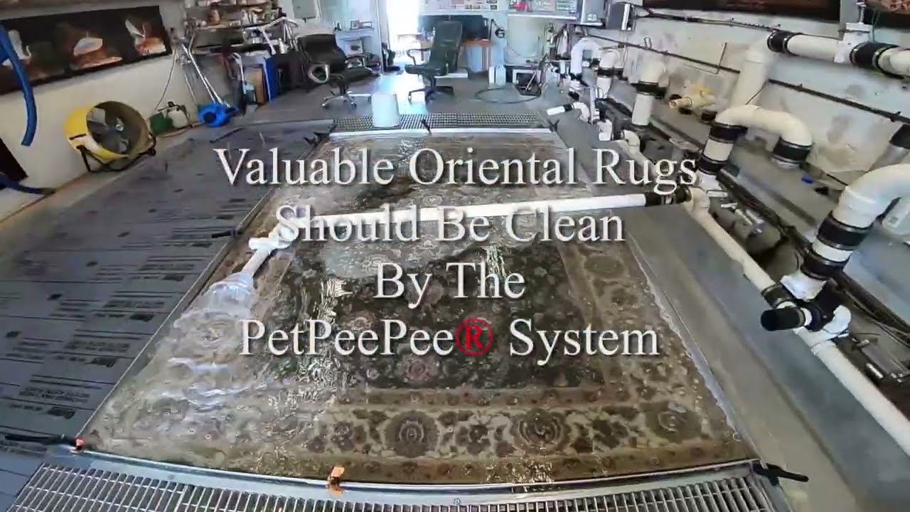 Valuable Oriental Carpet Should be clean by the PetPeePee system