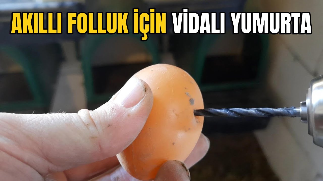 Akıllı Follukta Sahte Yumurta Sorunu Çözüldü! 🥚 | Kırılmadan Yumurtlama Yöntemi | Yumurta Vidalama