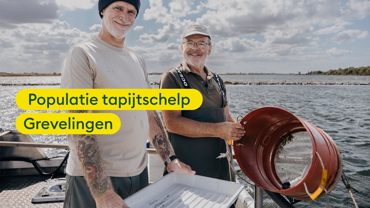 Visserijbioloog Marnix van Stralen bracht de populatie in kaart