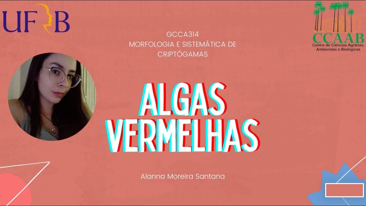 Vídeo Algas vermelhas - Alanna Moreira