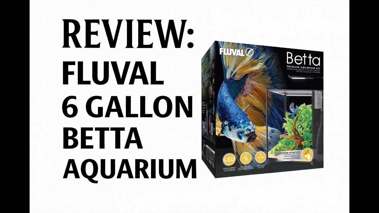 Review: Fluval 6 gallon Betta Premium Aquarium Kit